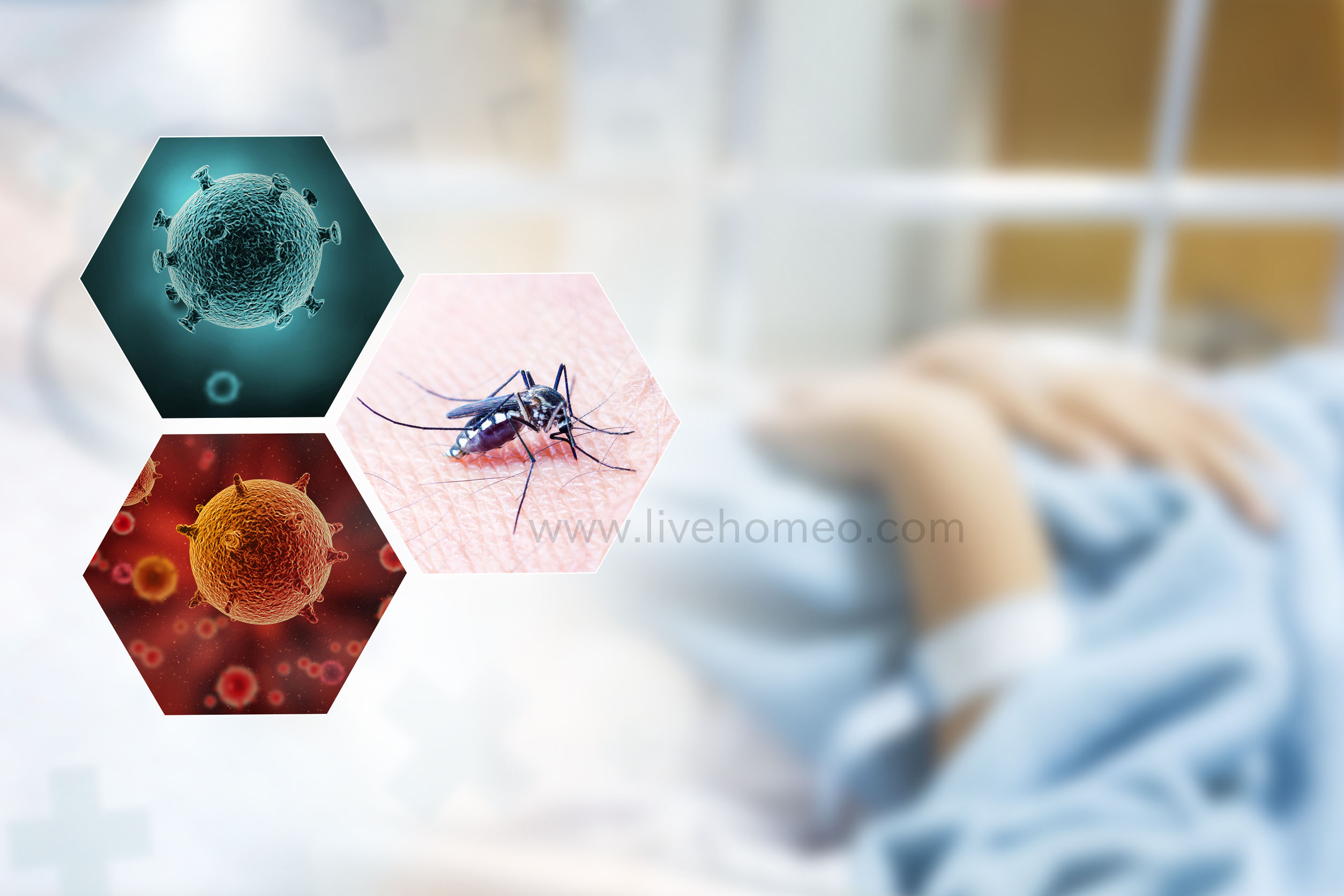 Homeopathy Tips for Malaria Disorders