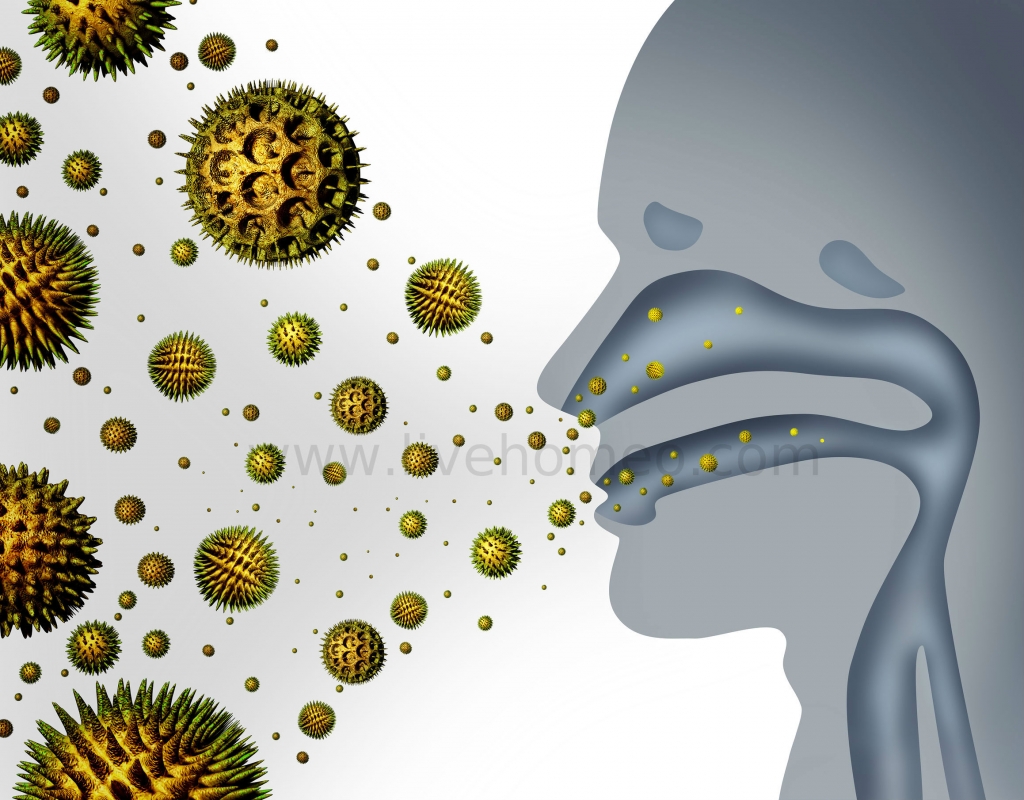 Health Tips for Allergic Rhinitis Disorders