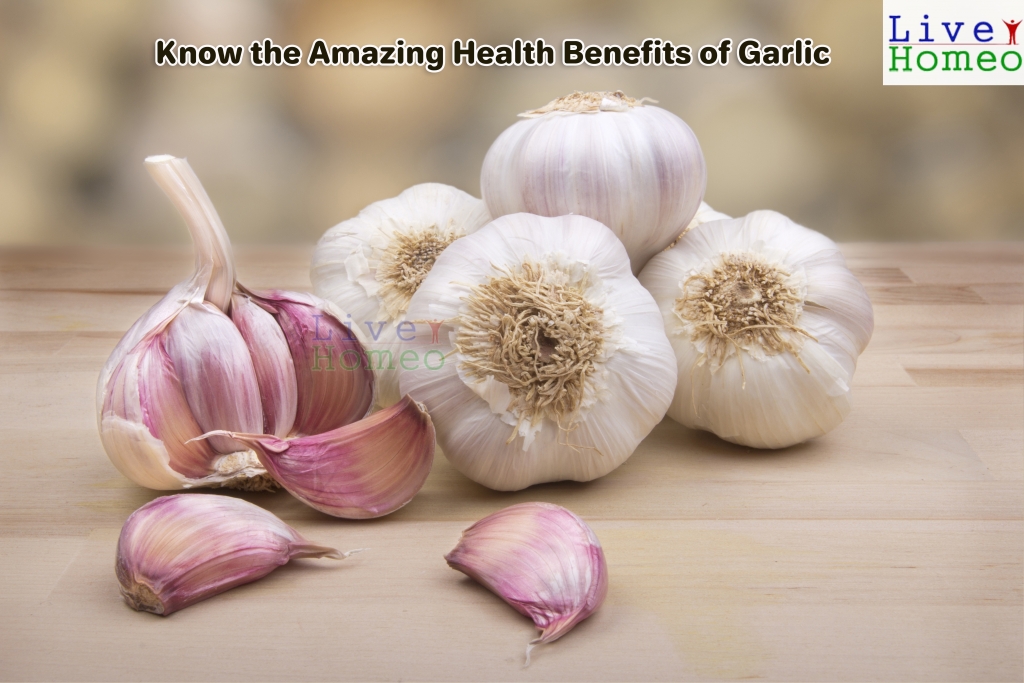 Know the Amazing Health Benefits of Garlic