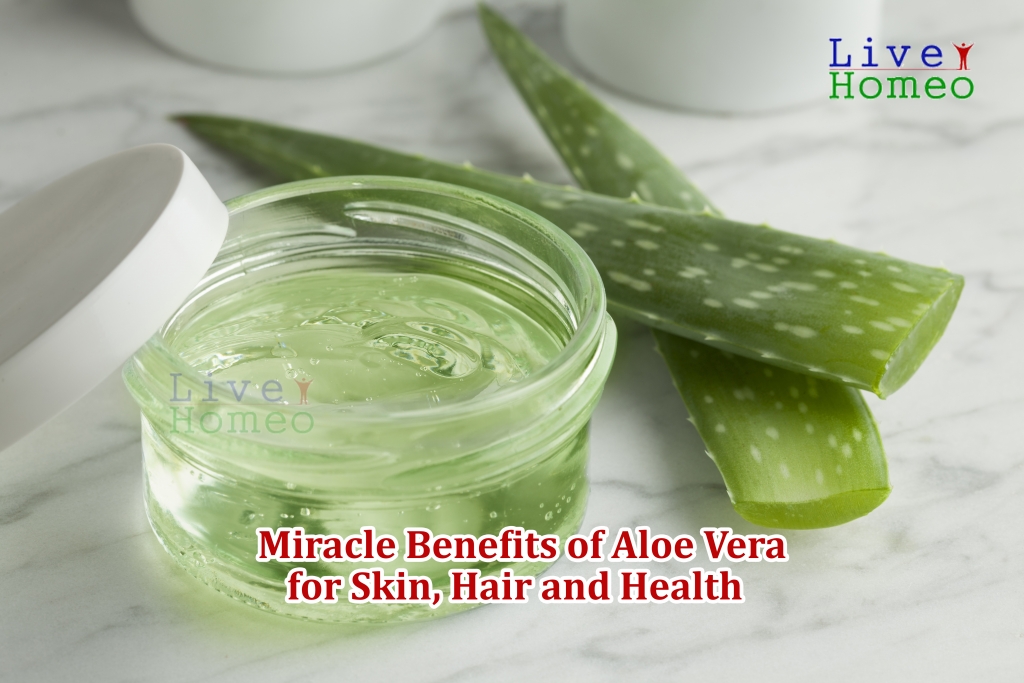 Miracle Benefits of Aloe Vera for Skin, Hair and Health