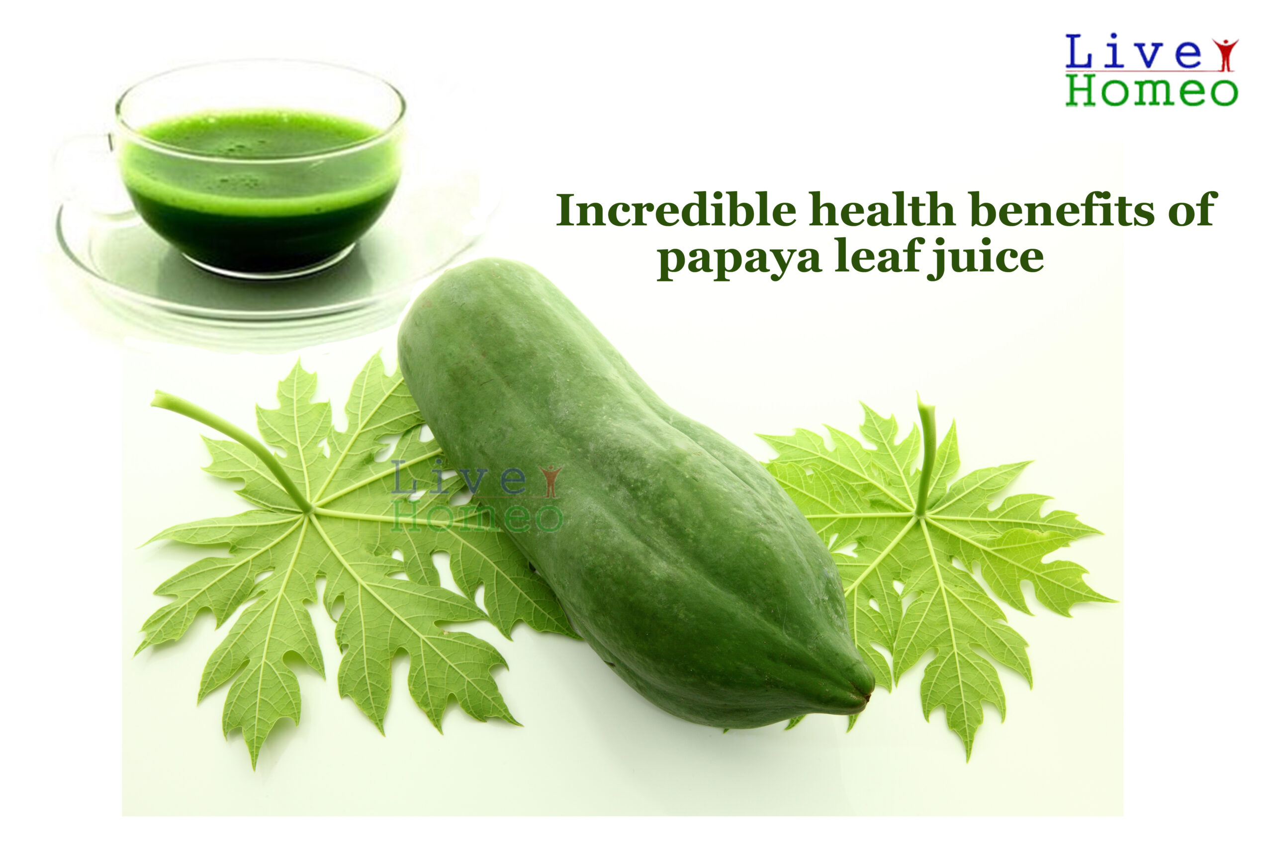 Health Benefits of papaya leaf juice