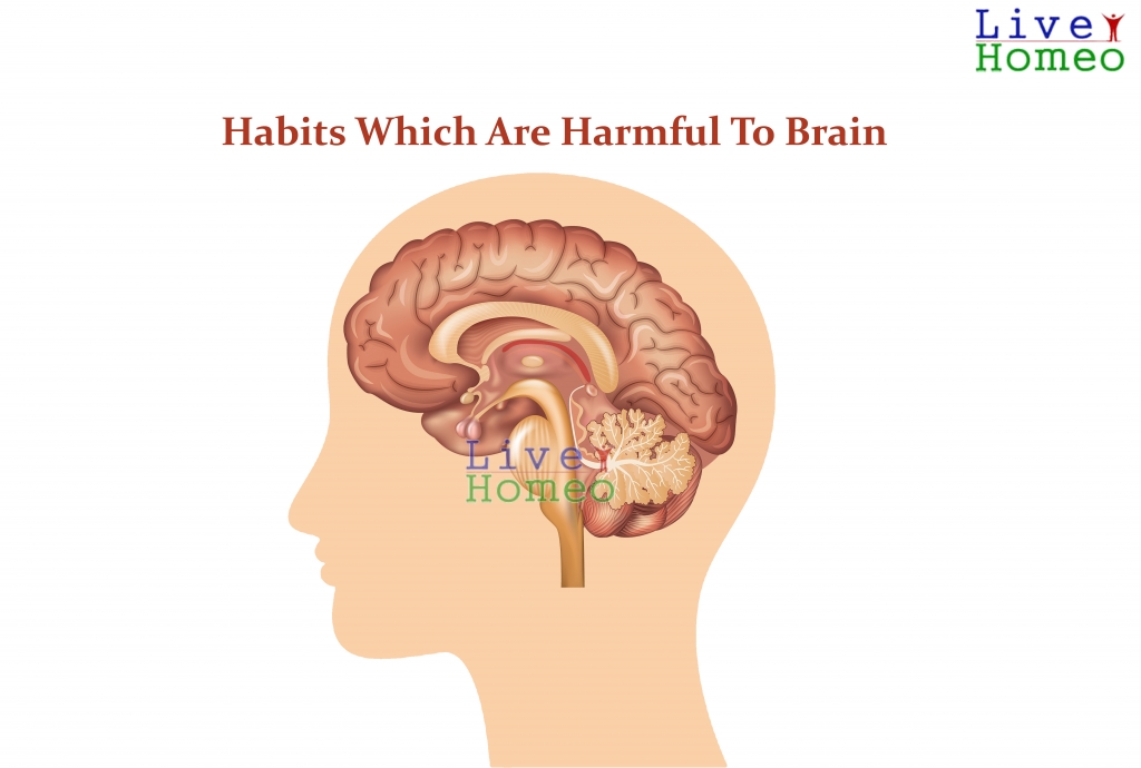 Habits which are Harmful to Brain