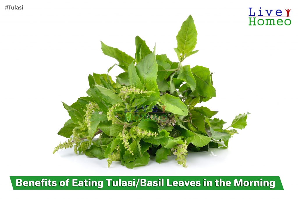 Benefits of Eating Tulsi Leaves in the Morning 