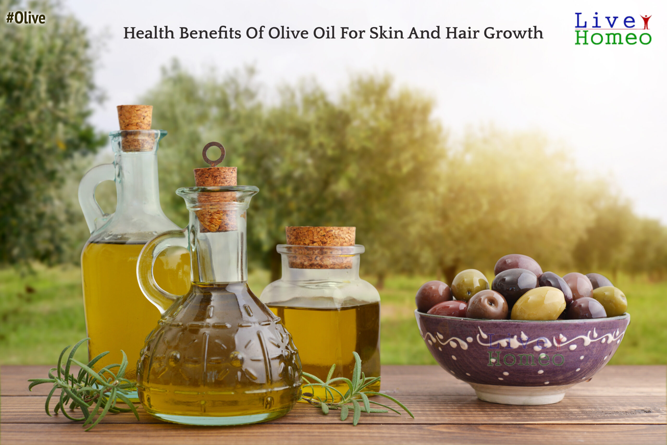 Health benefits of Olive oil for skin and hair growth – Live Homeo